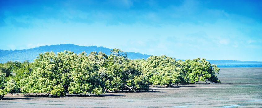 Coast of Queensland, Australia.