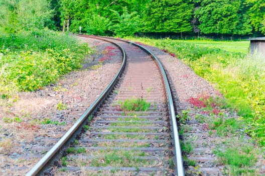 View on railroad tracks, track with a colorful plantings.