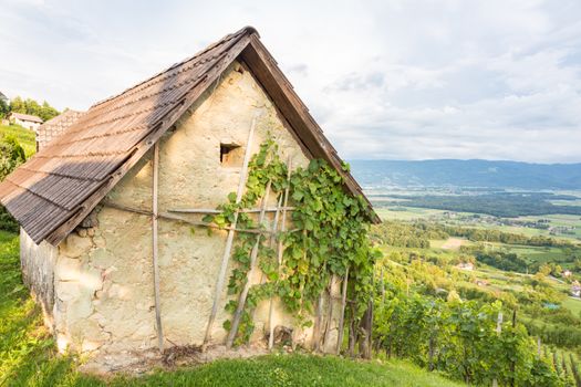 Vineyard cottage on Vinji vrh, Dolenjska region, Slovenia.