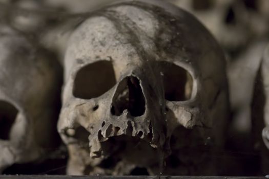 The Sedlec Ossuary is a small Roman Catholic chapel, located beneath the Cemetery Church of All Saints in Sedlec, a suburb of Kutna Hora in the Czech Republic. The ossuary is estimated to contain the skeletons of between 40 000 and 70 000 people, many of whom have had their bones artistically arranged to form decorations and furnishings for the chapel.
Kutna Hora, Sedlec, Czech republic.
