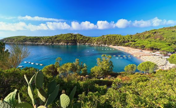 summer view of Fetovaia bay in Elba island, Italy