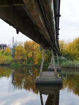 architecture under the bridge surrounded with nature