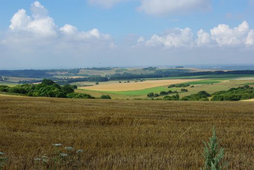 the south downs west sussex