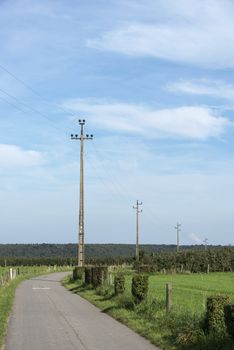 electricity power cables in nature landscape