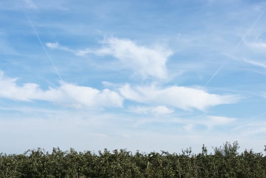background from blue sky white airplane stripes and green foreground