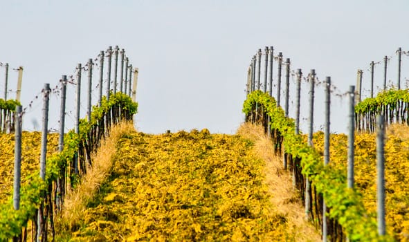 a typical countryside in the heart of Italy