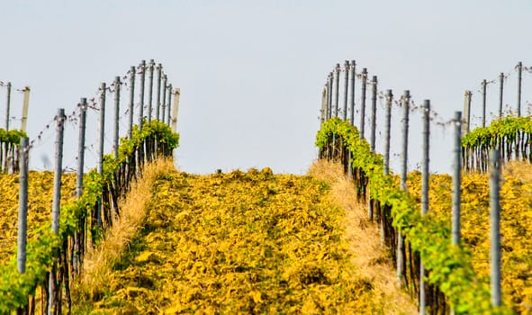 a typical countryside in the heart of Italy