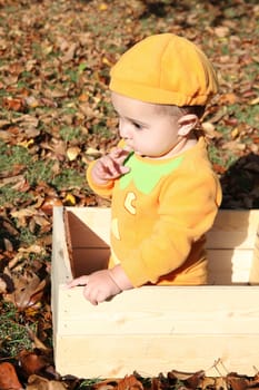 Halloween baby dressed as a pumpkin amongst fall leaves