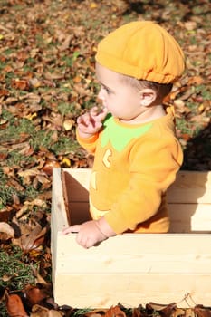 Halloween baby dressed as a pumpkin amongst fall leaves