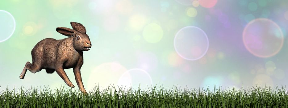 Hare running on green grass into bokeh background - 3D render