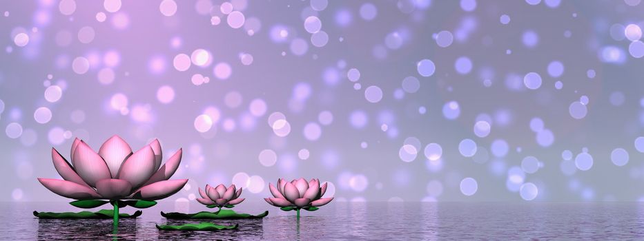 Lily flowers and leaves upon water in bokeh background - 3D render