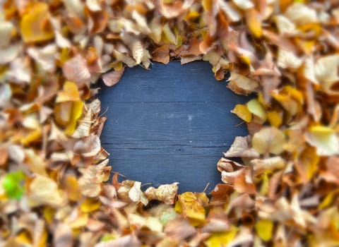 frame of leaves on a dark wooden background, autumn mood
