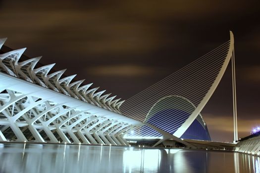 Photo shows Valencia city at night and its various surroundings.