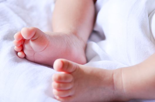 Baby feet newborn