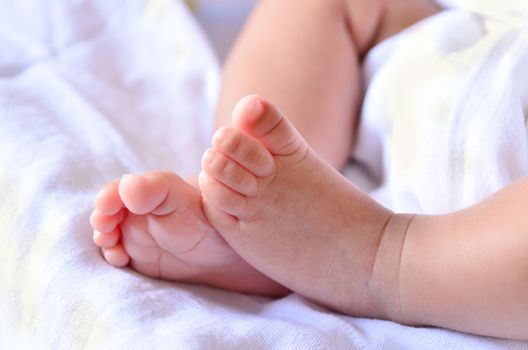 Baby feet newborn