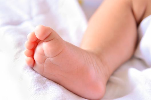 Baby feet newborn