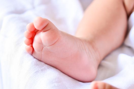 Baby feet newborn