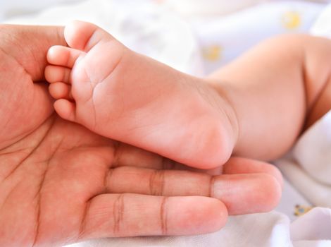 Baby feet newborn into mother's hands.
