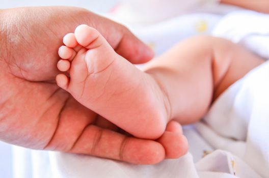 Baby feet newborn into mother's hands.