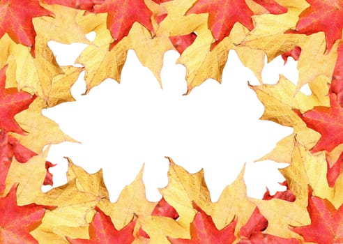 Fall leaves golden red, and yellow border with white space 