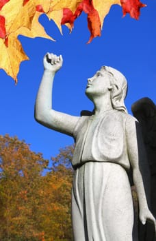 Statue of Angel looking towards the sky or heaven with arm raised up in faith or hope, at a cemetery in Montreal, Quebec with colorful maple autumn leaves