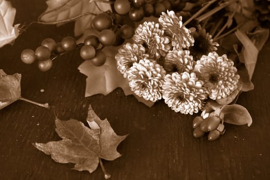 Fall or autumn flowers, pine cone and berries with sepia colored leaves on a wooden background