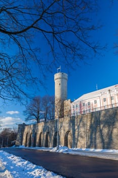 Herman Tower and Parliament building in center of Tallinn, Estonia