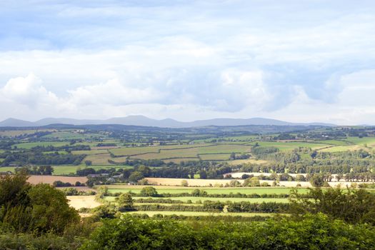 green lush farmland fields and countryside of Ireland