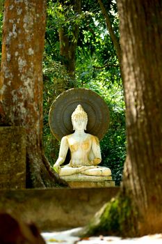 White Buddha statues. Meditate and relax.