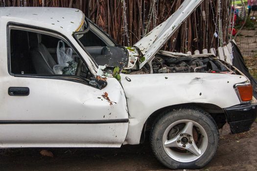 tree on a car after hurricane (damaged car)