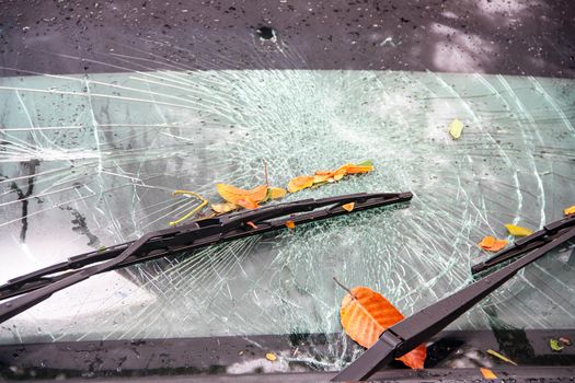 The broken windshield in car accident