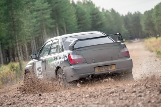 Bramshill Forest, UK - November 3, 2012: Over-steer by Mike Harris driving a Subaru Impreza on the Warren stage of the MSA Tempest Rally in Bramshill Forest, UK