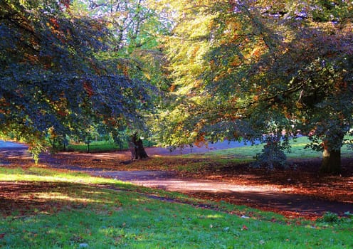 A colourful Autumn landscape.