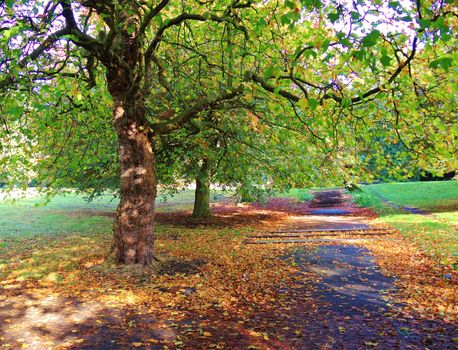 An image of a colourful Autumn landscape.