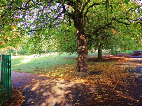 An image of a colourful Autumn landscape.