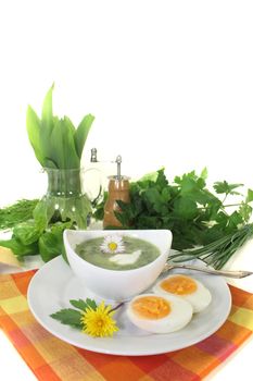 green herb soup with eggs, a dollop of cream and daisy