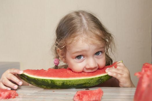 Two-year-old girl sitting at the kitchen table and eats with pleasure watermelon. Writhing faces