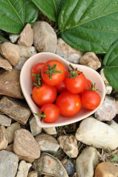 The little red tomatos are  in ceramic bowl.