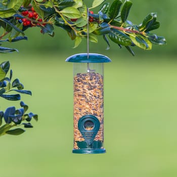 Bird feeder full of seeds hung in the tree