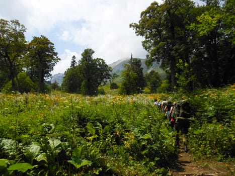 Mountains of the Caucasian natural reserve