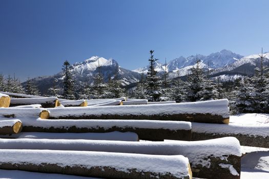 winter in tatras mountains in poland  with heap of pieces of wood