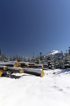 snowy winter in tatras mountains in poland  with heap of pieces of wood