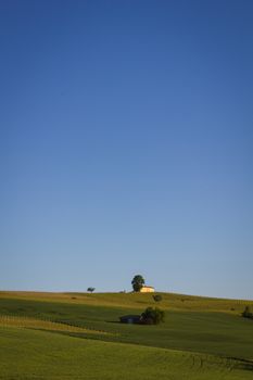 House and vineyards from Italy under the deep blue sky