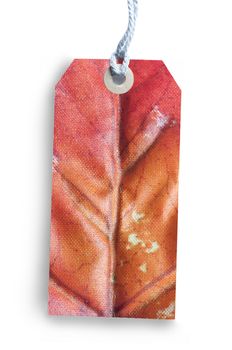 Autumn leaf gift or price tag over a white background 