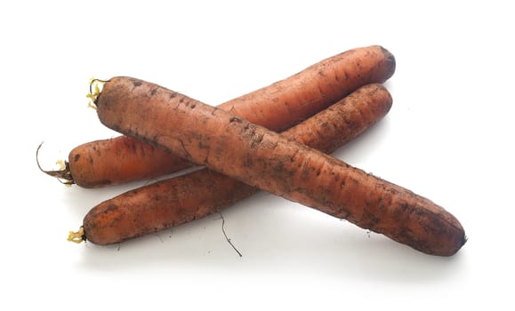 Three dirty carrot on the white background