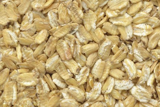 Close-up  wheat of  khorasan flakes for breakfast