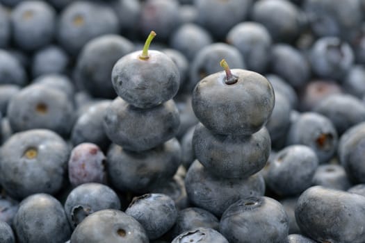  Close-up two stacked blueberry picked freshement