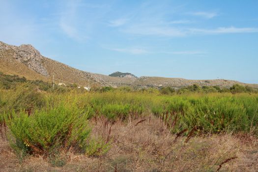 Mallorcan countryside