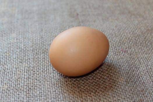 an egg of hen on the background of sacking