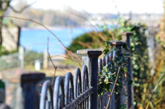 Old fence with blurred background. intended 
shallow depth of field in the foreground the fence top and rear blurred the Rhine and ivy.